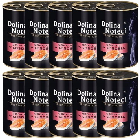 DOLINA NOTECI Premium bogata w łososia - mokra karma dla kota - 400g