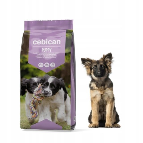 Cebican Puppy dla szczeniąt 20kg