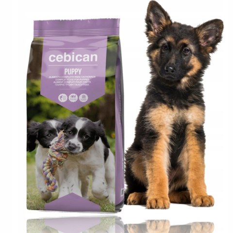 Cebican Puppy dla szczeniąt 20kg