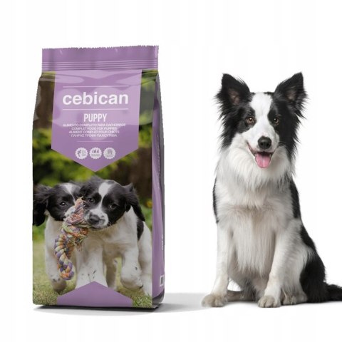 Cebican Puppy dla szczeniąt 20kg