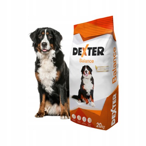 Dexter Balance z witaminami 20kg