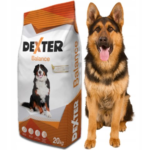 Dexter Balance z witaminami 20kg