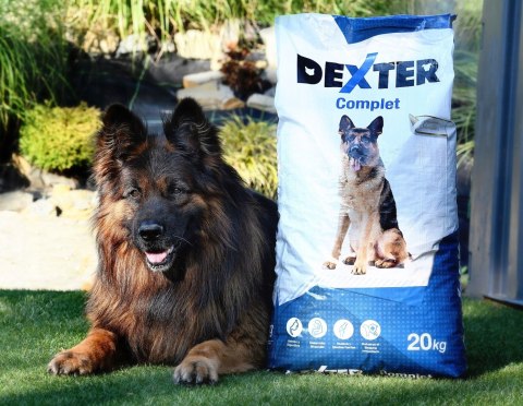 Dexter Complete dla psów ras dużych 20kg