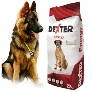 Dexter Energy dla psów aktywnych 20kg