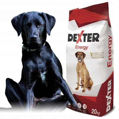 Dexter Energy dla psów aktywnych 20kg