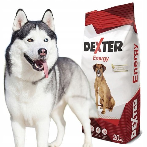 Dexter Energy dla psów aktywnych 20kg