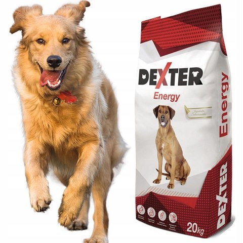 Dexter Energy dla psów aktywnych 20kg