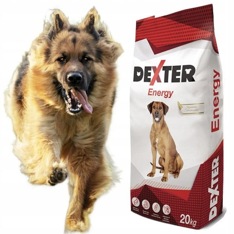 Dexter Energy dla psów aktywnych 20kg