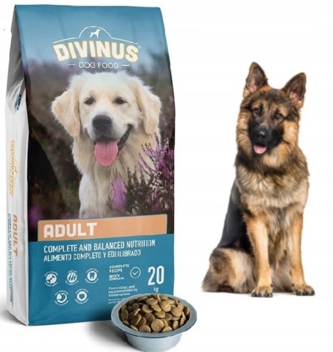 Divinus Adult dla psów dorosłych 20kg