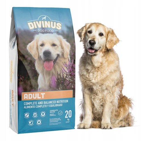 Divinus Adult dla psów dorosłych 20kg