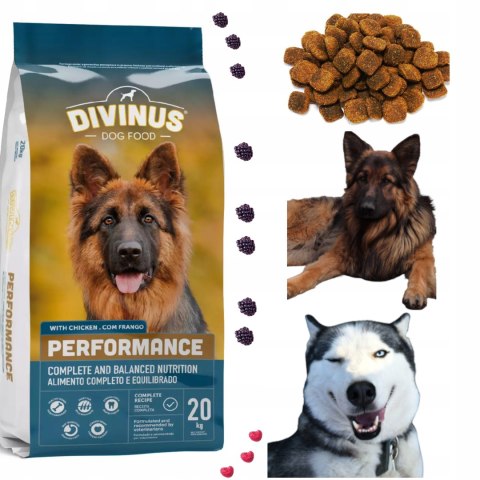 Divinus Performance dla owczarka niemieckiego 20kg