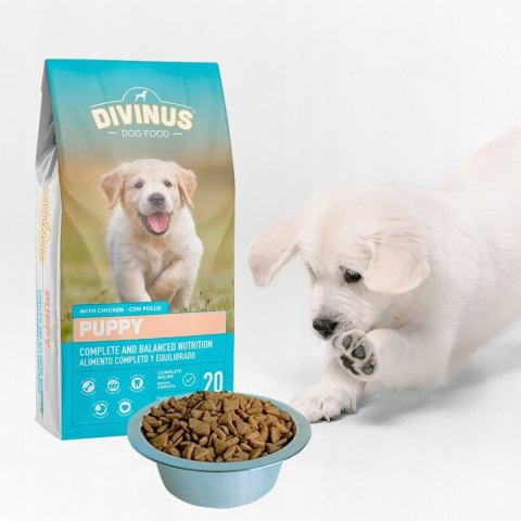 Divinus Puppy dla szczeniąt 20kg