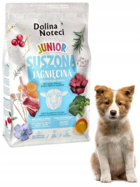 Dolina Noteci Premium JUNIOR karma suszona jagnięcina 4 kg