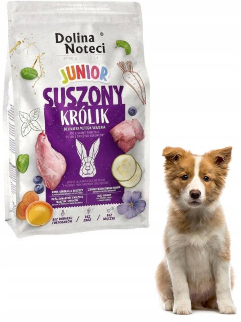 Dolina Noteci Premium Junior karma suszona królik 4 kg