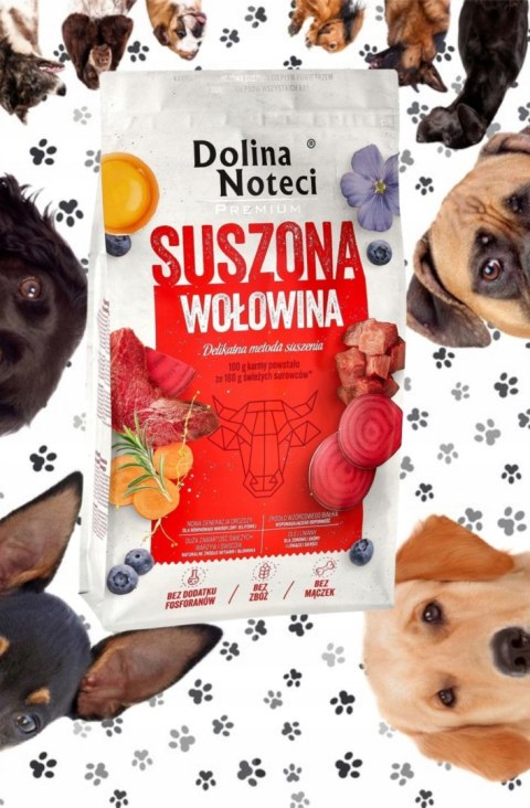 Dolina Noteci Premium karma suszona z wołowiną 9 kg