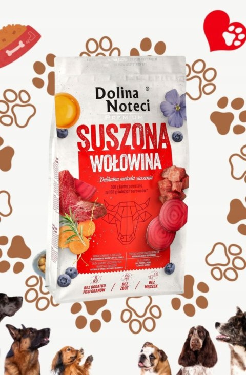 Dolina Noteci Premium karma suszona z wołowiną 9 kg