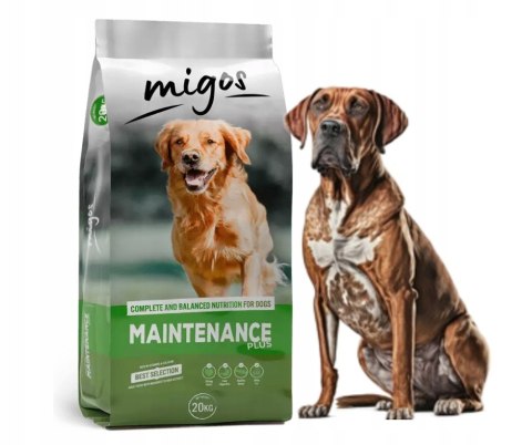 Migos Maintenance plus 20kg