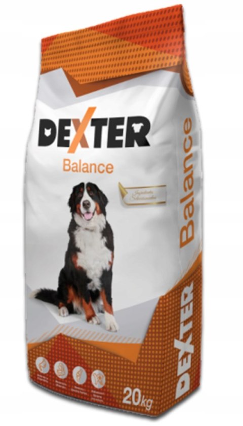 Karma Dexter Balance z witaminami duże rasy 20kg