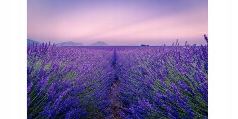 Bi-es Sea Lavender Odświeżacz powietrza