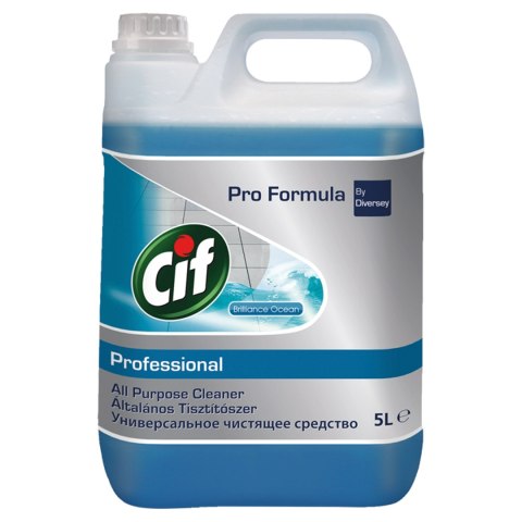 CIF płyn do szyb i luster Window& Multisurface Cleaner 5L