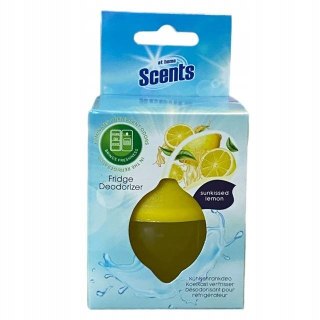 Pochłaniacz zapachów do lodówki At Home Scents 30g