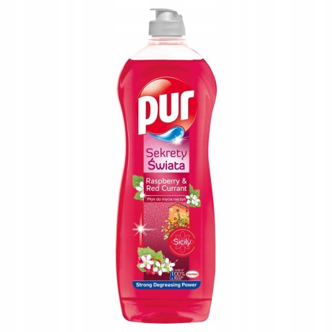 PUR Płyn do naczyń Malina Czerwona Porzeczka 750ml PUR Płyn do naczyń Malina Czerwona Porzeczka 750ml