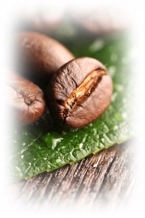 Illy Decaf (Dek) kawa bezkofeinowa ziarnista 250g Illy Decaf (Dek) kawa bezkofeinowa ziarnista 250g